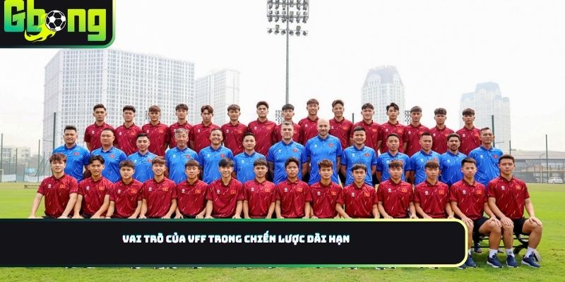 Vai trò của VFF trong chiến lược dài hạn